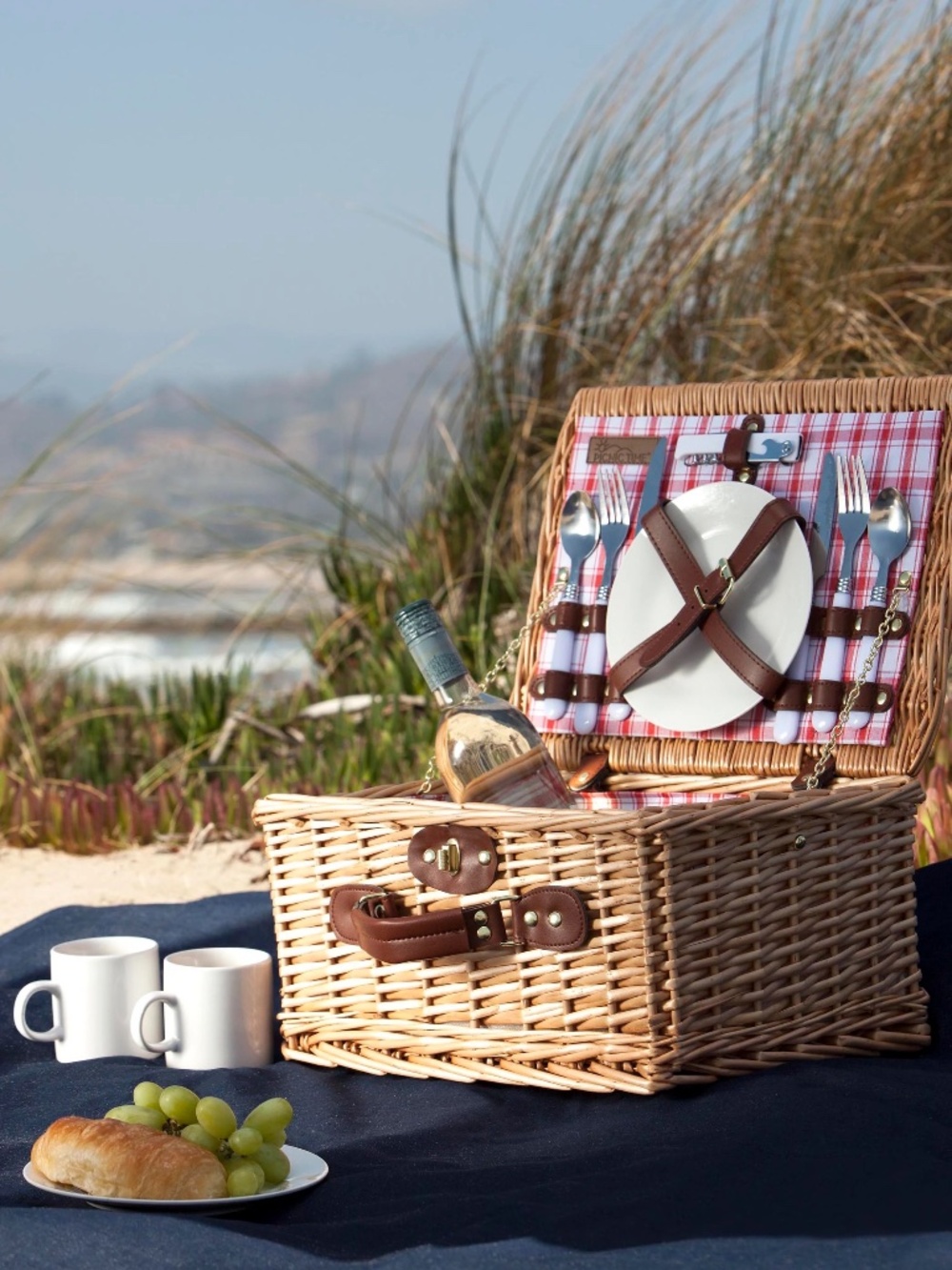 NWT Catalina Picnic Basket